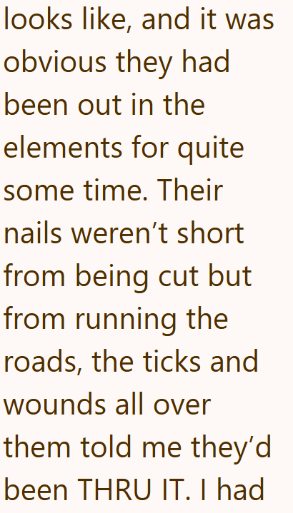 looks like, and it was obvious they had been out in the elements for quite some time. Their nails weren't short from being cut but from running the roads, the ticks and wounds all over them told me they'd been THRU IT. I had