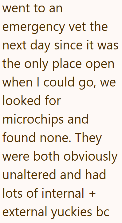 went to an emergency vet the next day since it was the only place open when I could go, we looked for microchips and found none. They were both obviously unaltered and had lots of internal + external yuckies bc