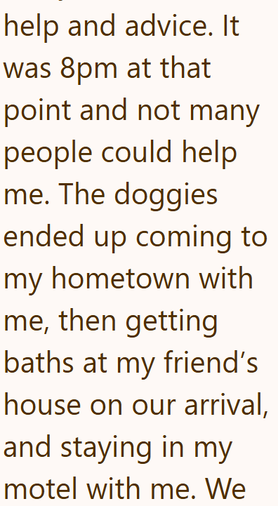 help and advice. It was 8pm at that point and not many people could help me. The doggies ended up coming to my hometown with me, then getting baths at my friend's house on our arrival, and staying in my motel with me. We