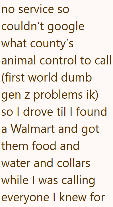 no service so couldn't google what county's animal control to call (first world dumb gen z problems ik) so I drove til I found a Walmart and got them food and water and collars while I was calling everyone I knew for