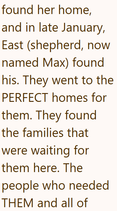 found her home, and in late January, East (shepherd, now named Max) found his. They went to the PERFECT homes for them. They found the families that were waiting for them here. The people who needed THEM and all of