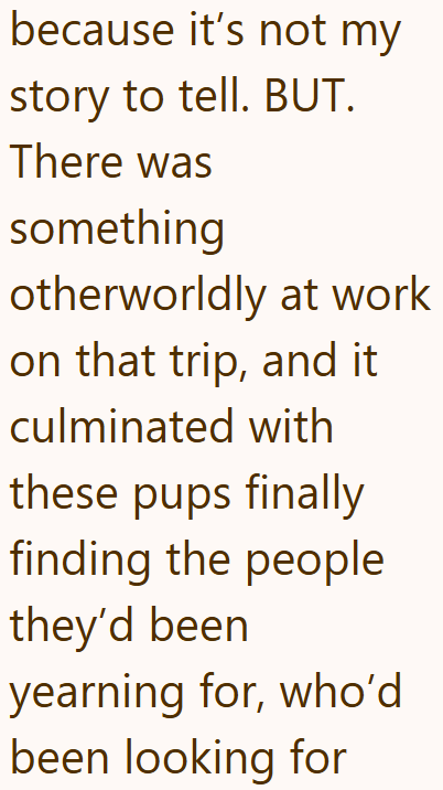 because it's not my story to tell. BUT. There was something otherworldly at work on that trip, and it culminated with these pups finally finding the people they'd been yearning for, who'd been looking for