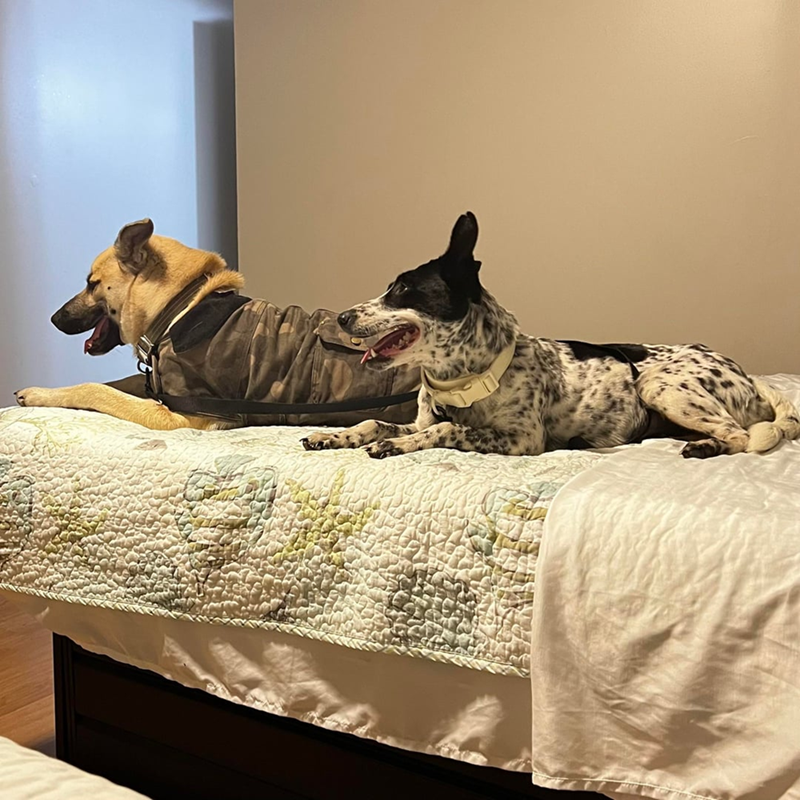 Cheezburger Image 10608756480