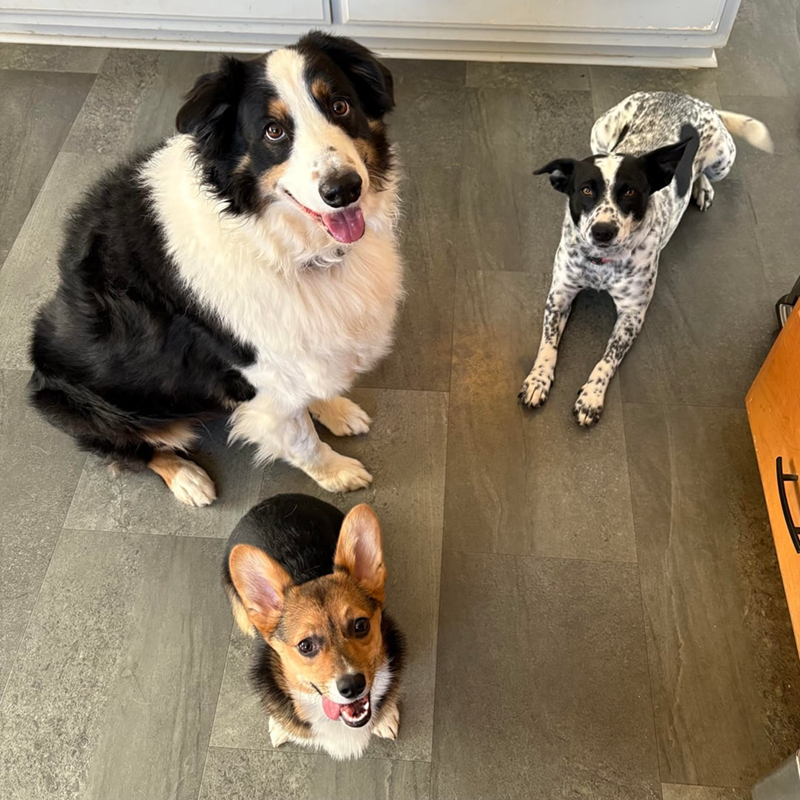 Cheezburger Image 10608757248