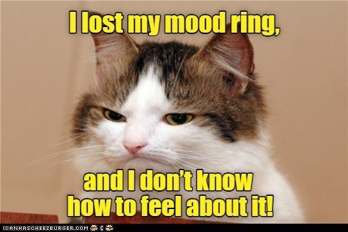 Cheezburger Image 10608781312