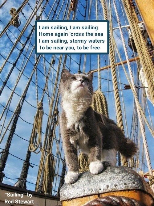 Cheezburger Image 10608839168