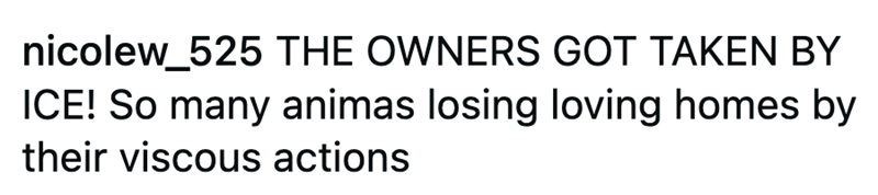 nicolew_525 THE OWNERS GOT TAKEN BY ICE! So many animas losing loving homes by their viscous actions