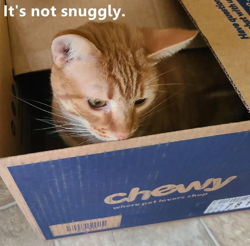 Cheezburger Image 10608842496