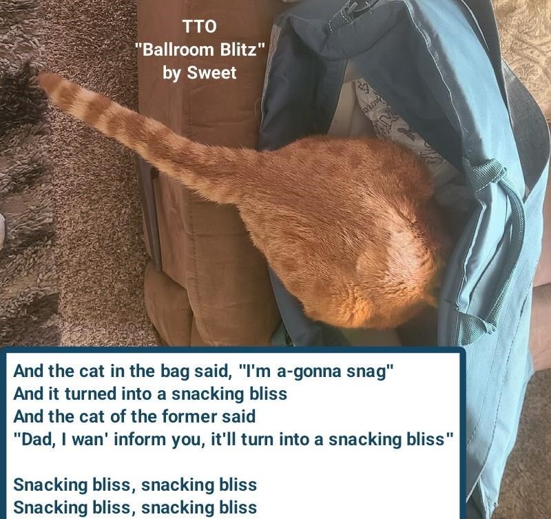 Cheezburger Image 10608844032