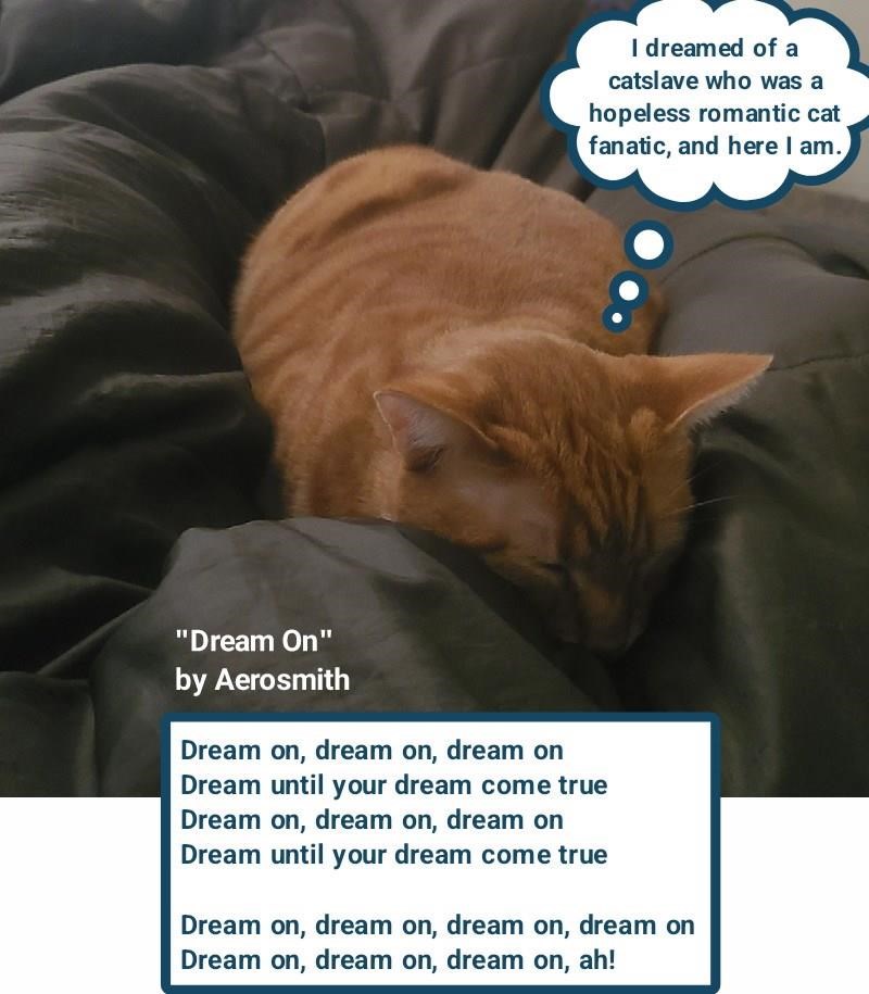 Cheezburger Image 10608856832