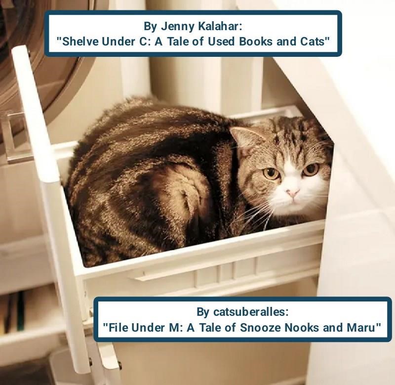 Cheezburger Image 10608860928