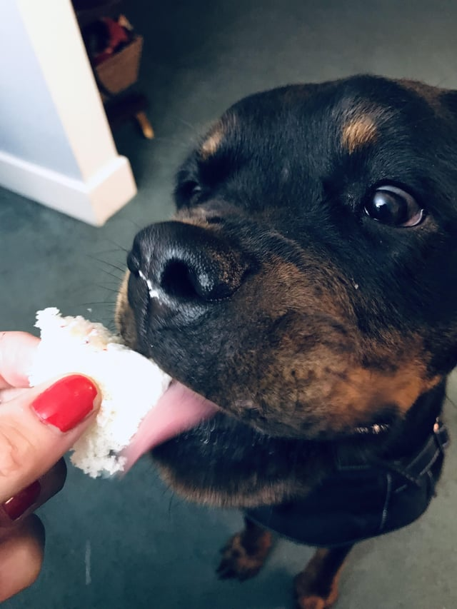 Cheezburger Image 10608914688