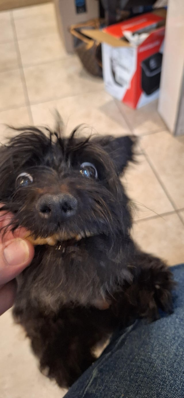 Cheezburger Image 10608914944