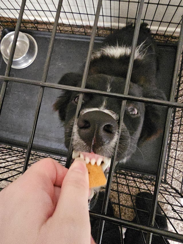 Cheezburger Image 10608916224