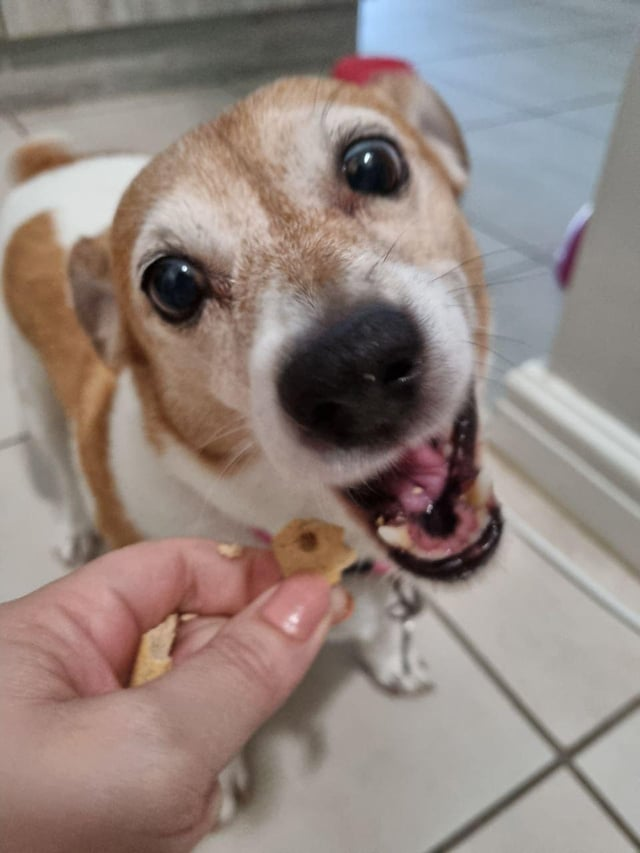 Cheezburger Image 10608916992