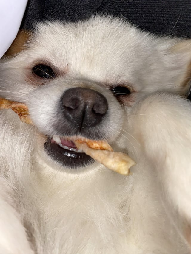 Cheezburger Image 10608917760