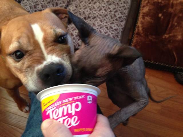 CALD ROLAN ACTON Temp Tee