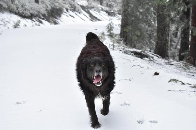 Cheezburger Image 10608919552