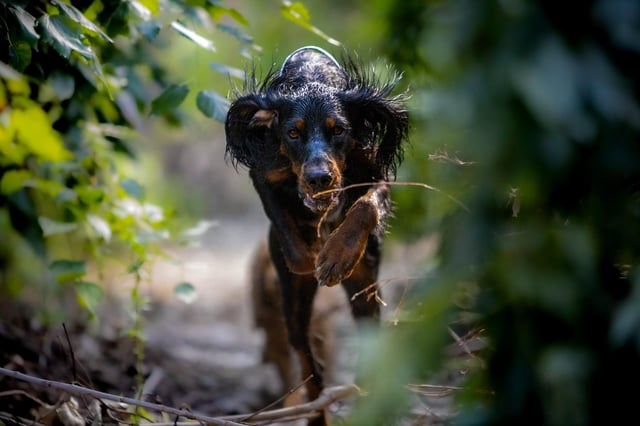 Cheezburger Image 10608920064