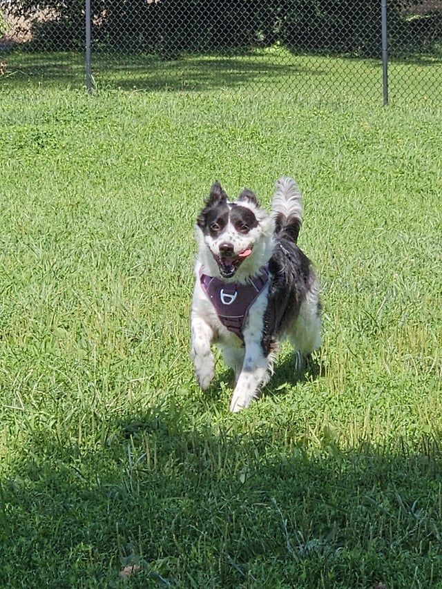 Cheezburger Image 10608920576