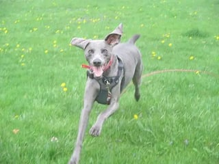 Cheezburger Image 10608921600