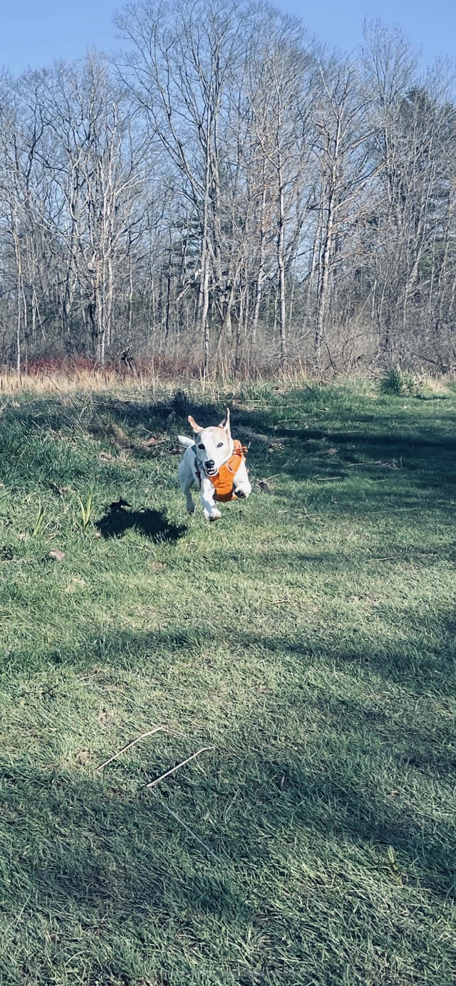 Cheezburger Image 10608921856