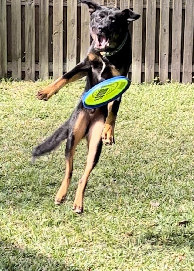 Cheezburger Image 10608922624