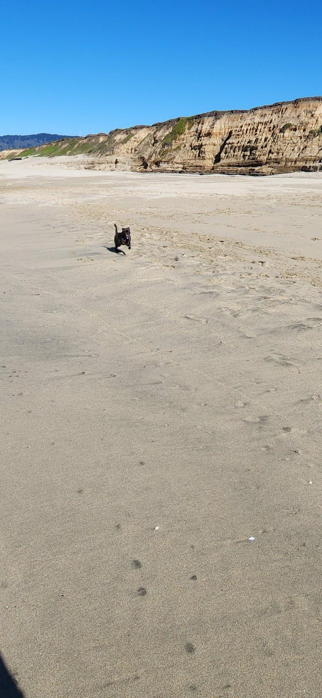 Cheezburger Image 10608923136