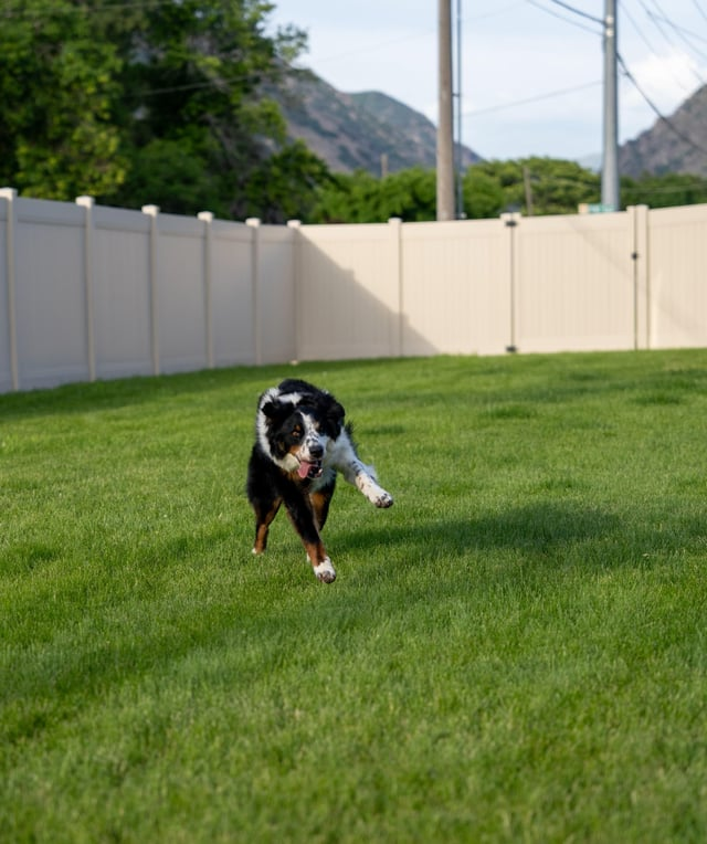 Cheezburger Image 10608923392