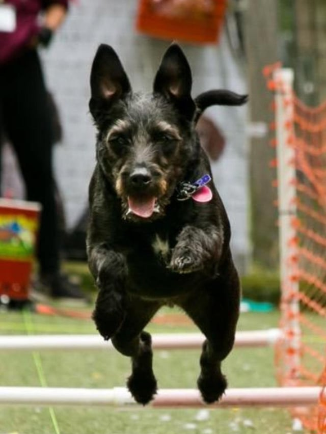 Cheezburger Image 10608923648