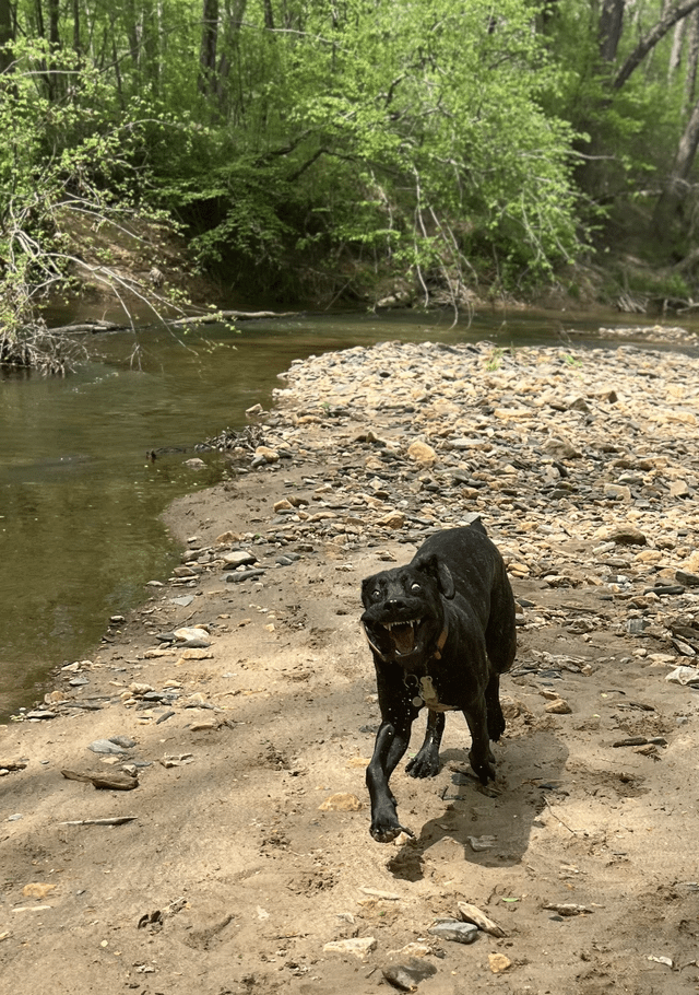 Cheezburger Image 10608923904