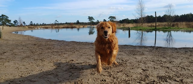 Cheezburger Image 10608924160