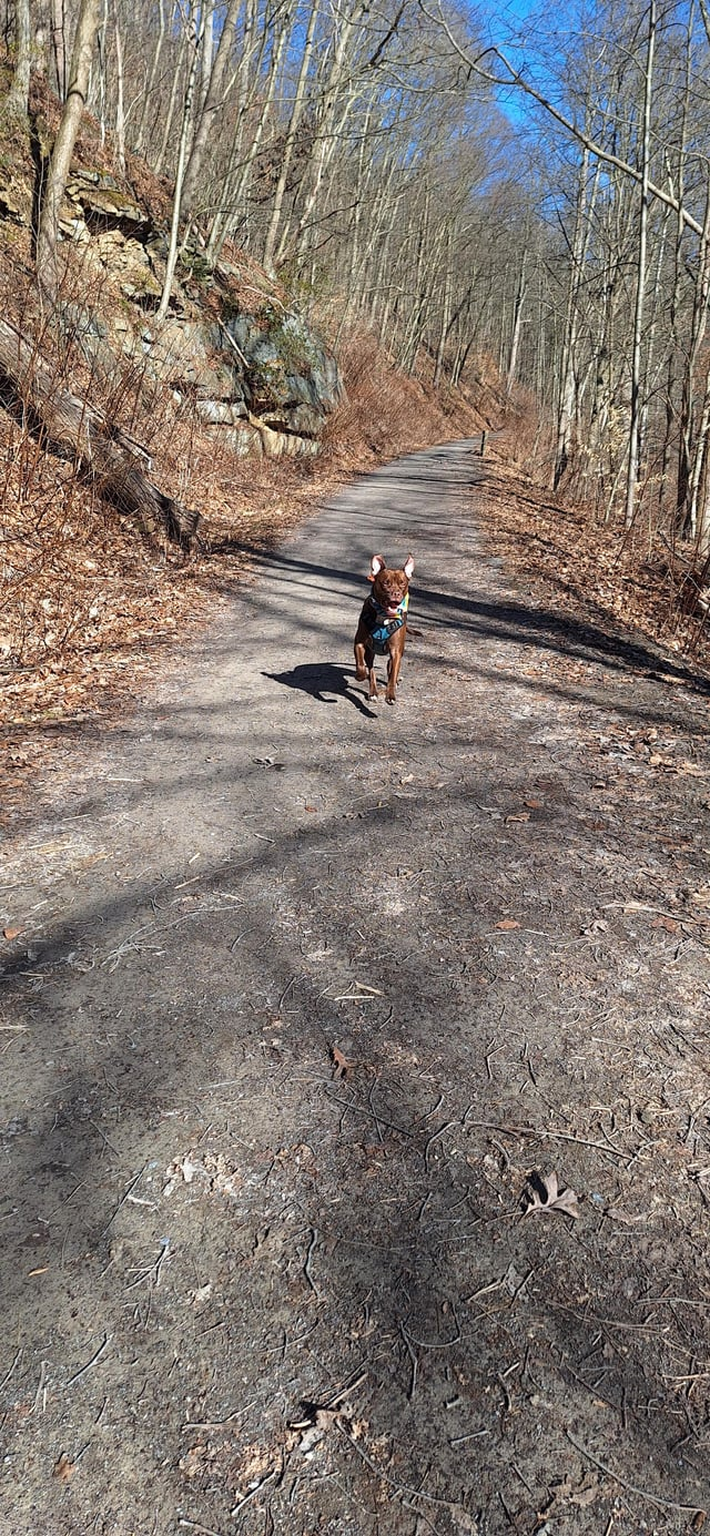 Cheezburger Image 10608924416