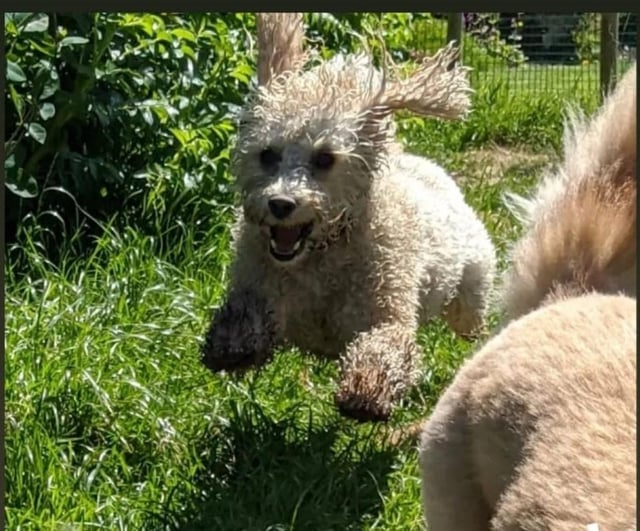 Cheezburger Image 10608925184