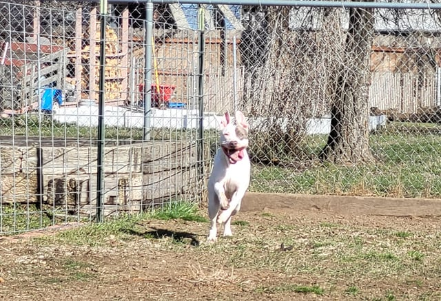 Cheezburger Image 10608925440