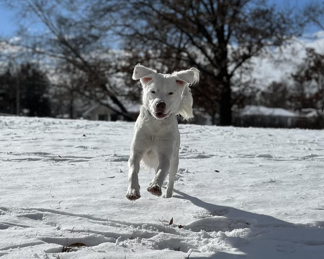 Cheezburger Image 10608925952