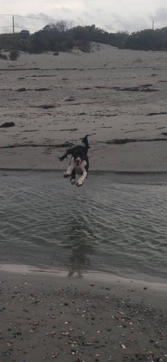 Cheezburger Image 10608926208