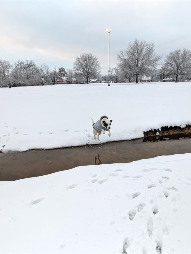 Cheezburger Image 10608927488