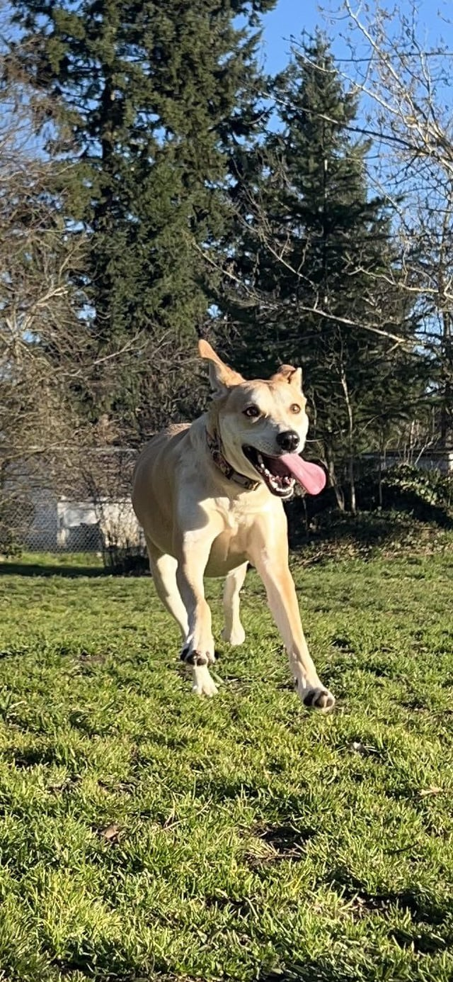 Cheezburger Image 10608929280