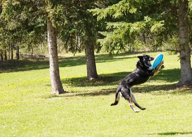 Cheezburger Image 10608929792