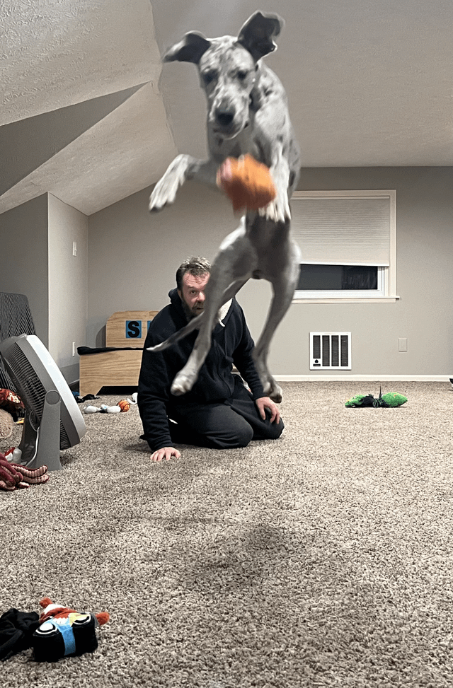 Cheezburger Image 10608930560