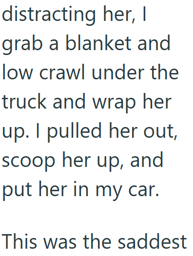 Cheezburger Image 10608932608