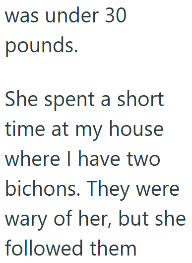 Cheezburger Image 10608934144