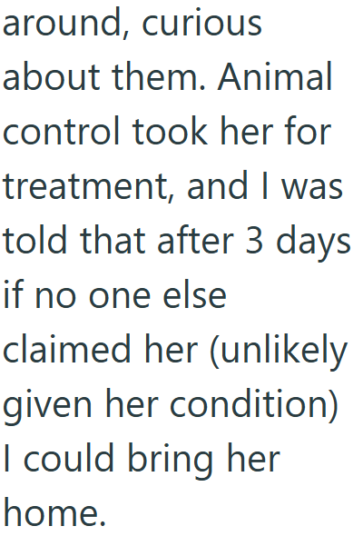 Cheezburger Image 10608934656