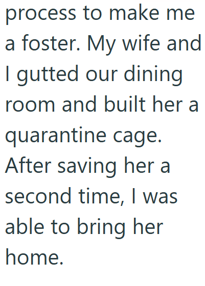 Cheezburger Image 10608934912