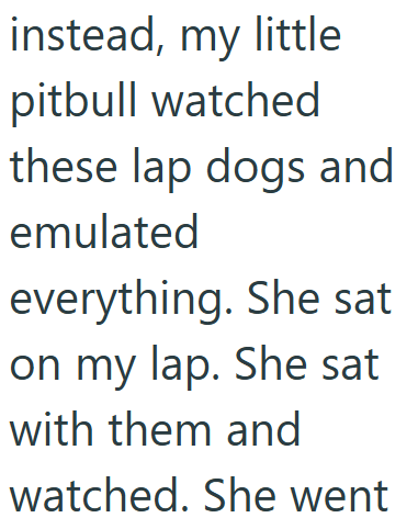 Cheezburger Image 10608935168