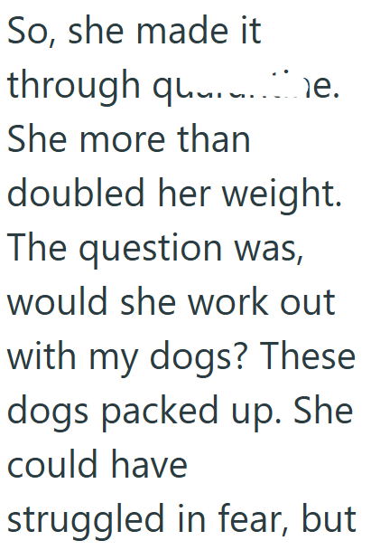 Cheezburger Image 10608935424