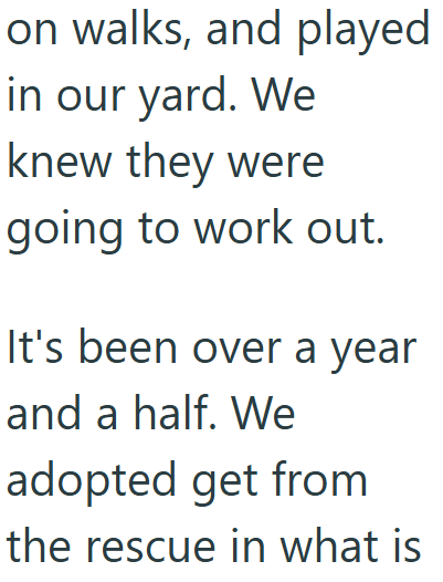 Cheezburger Image 10608936192