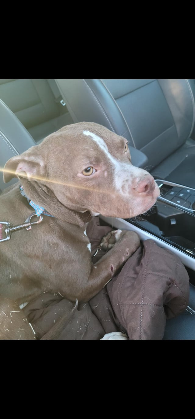 Cheezburger Image 10608937216