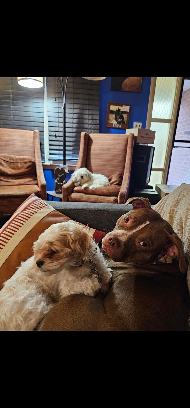 Cheezburger Image 10608937728